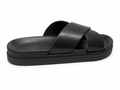 Criss Cross Rubber Palm